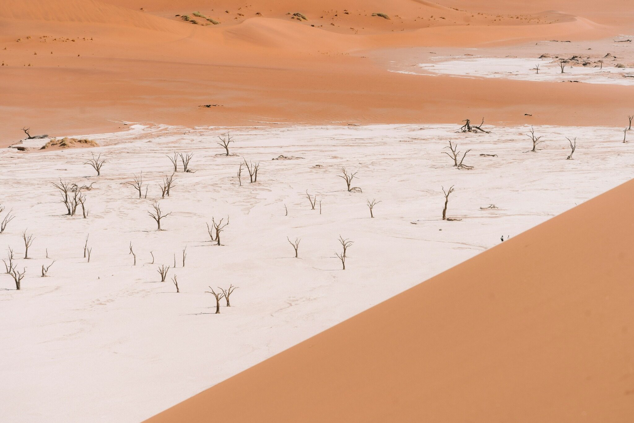 Sossusvlei dunes at sunrise, Namibia