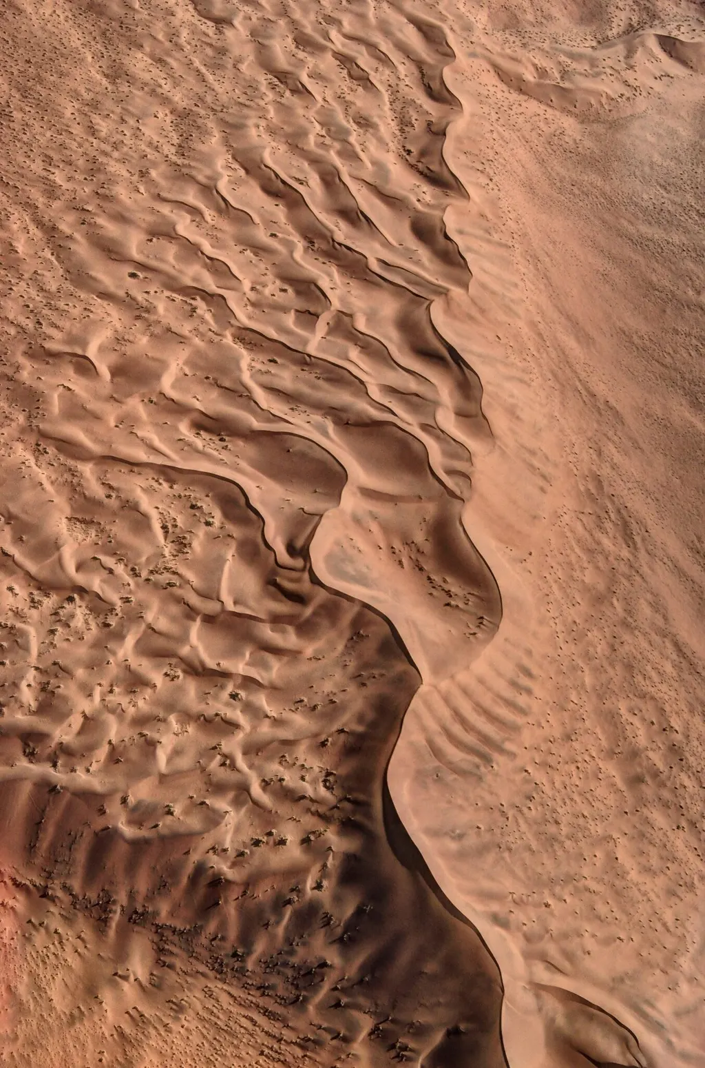 Aerial view of sculpted dunes in the Namib Desert