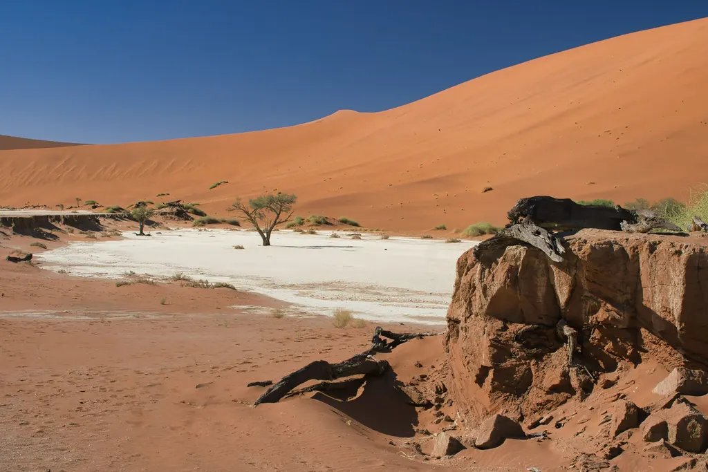 Deadvlei clay pan framed by red dunes at Sossusvlei, Namibia