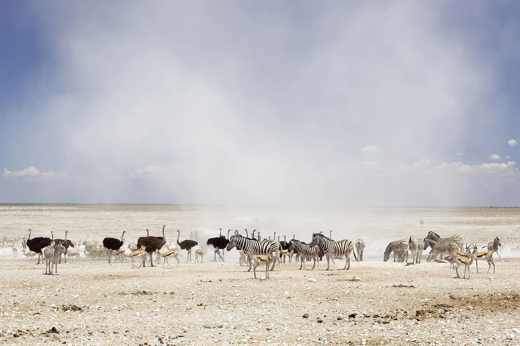 Wildlife near a waterhole in Etosha National Park, Namibia