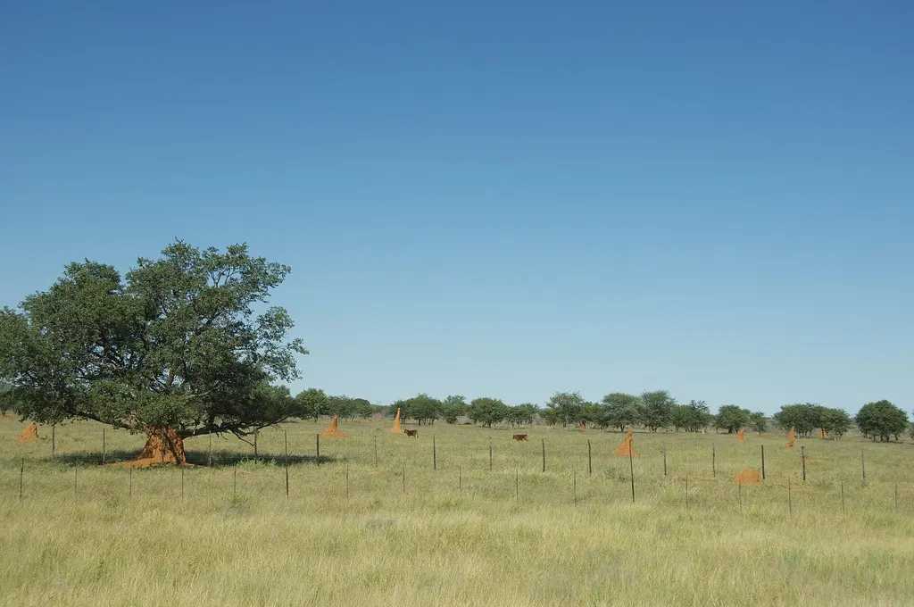 Remote road and open landscape in Namibia's Kunene Region