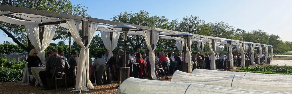 Editorial outdoor dining scene at golden hour