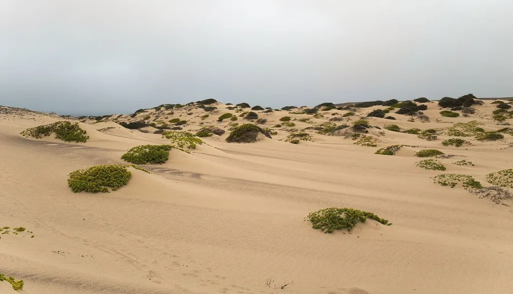 Atlantic coastline along Namibia's Skeleton Coast
