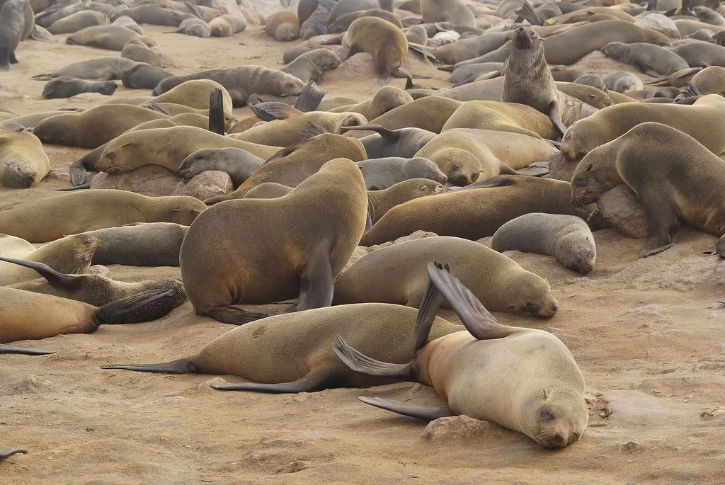 Atlantic coastline along Namibia's Skeleton Coast