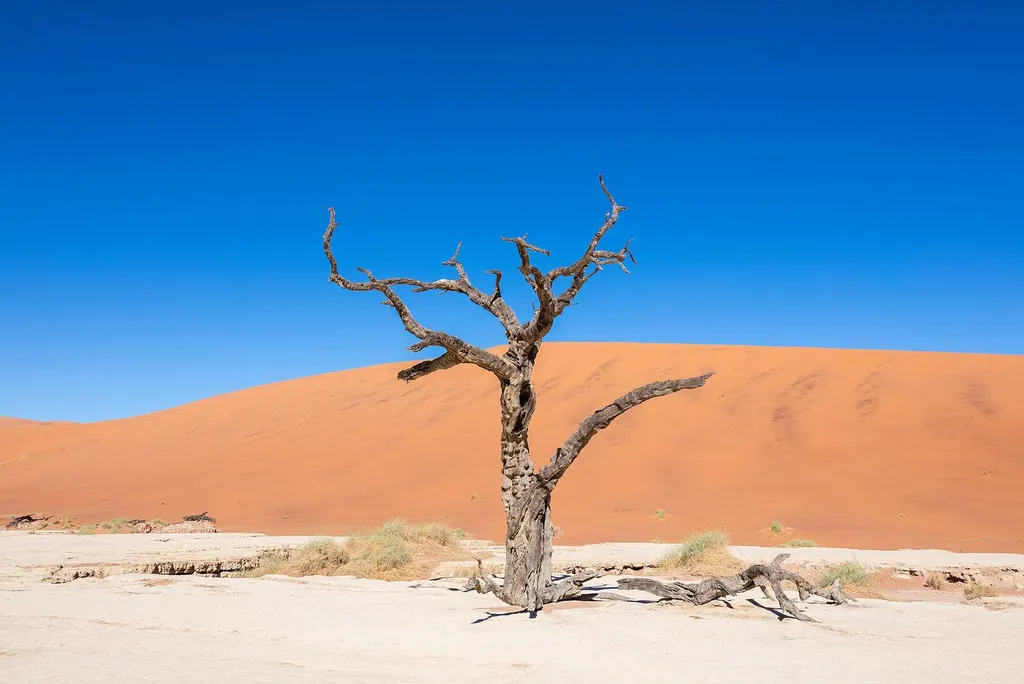 Red dunes and desert landscape in the Sossusvlei area of Namibia