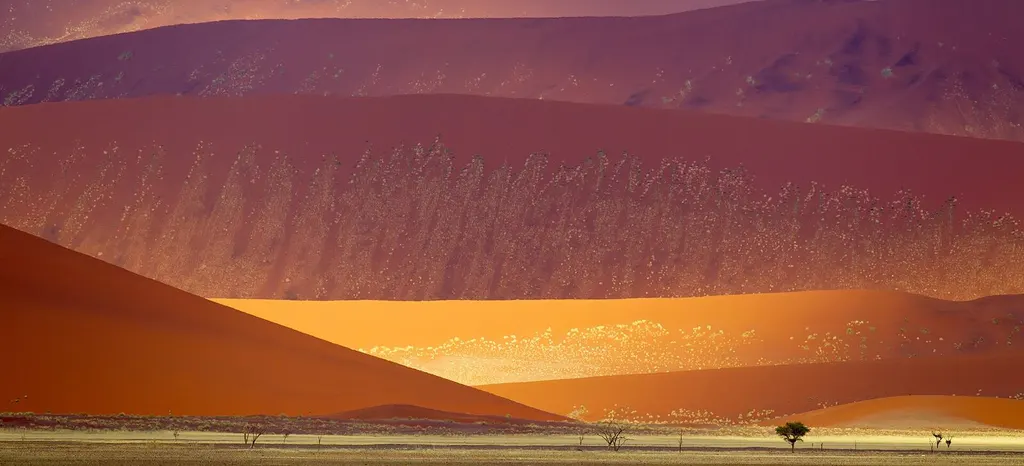 Red dunes and desert landscape in the Sossusvlei area of Namibia