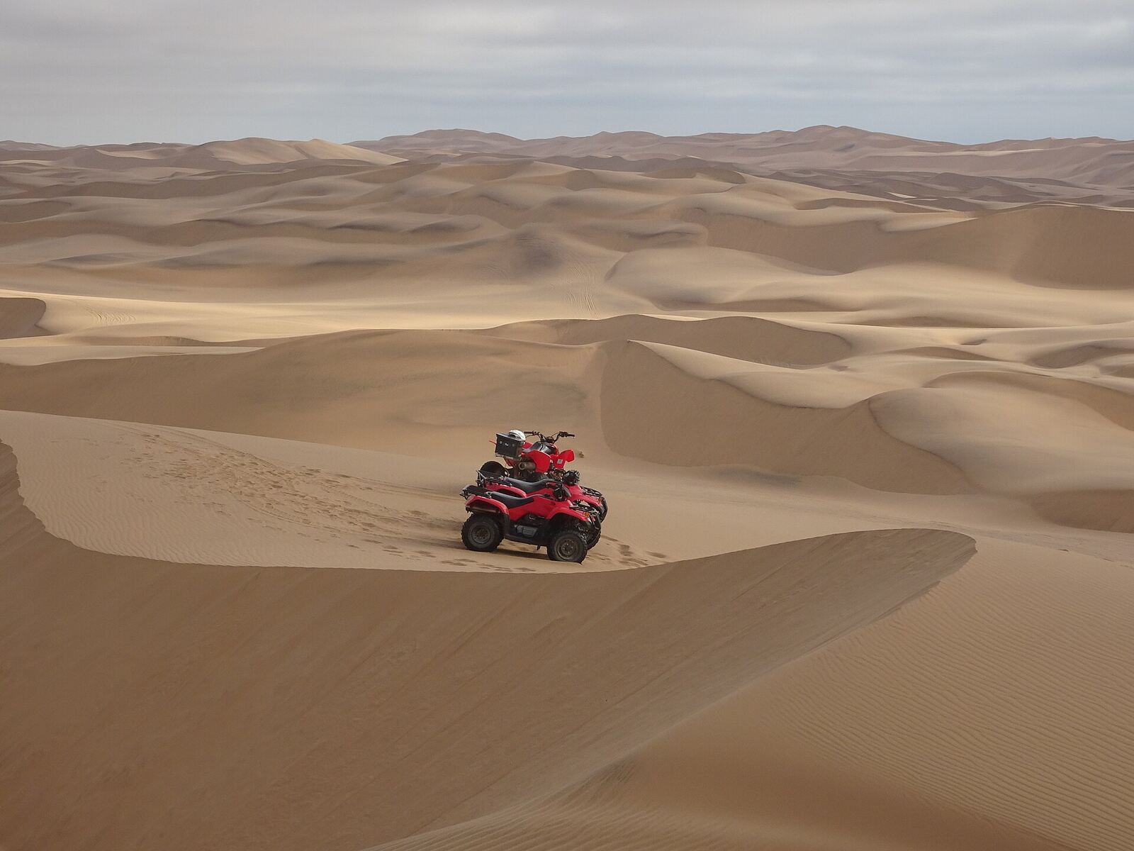 Guided quad-bike activity on desert dunes