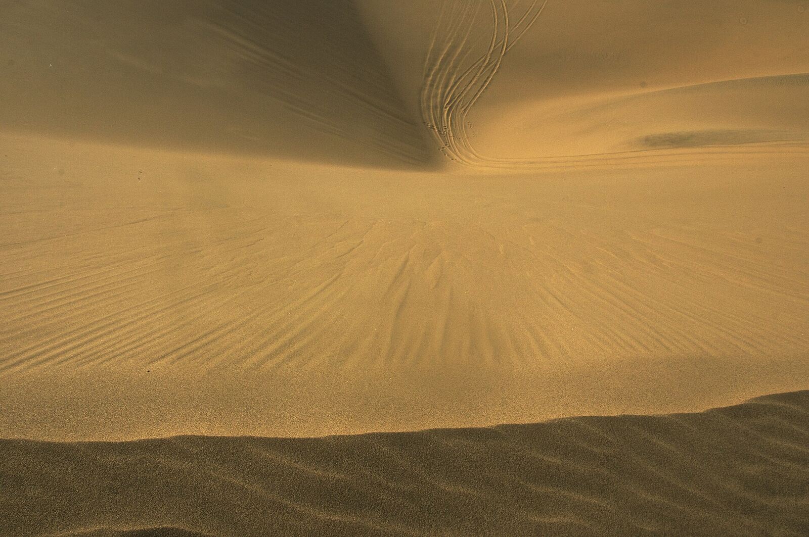 Sand dunes meeting the Atlantic near Sandwich Harbour, Namibia