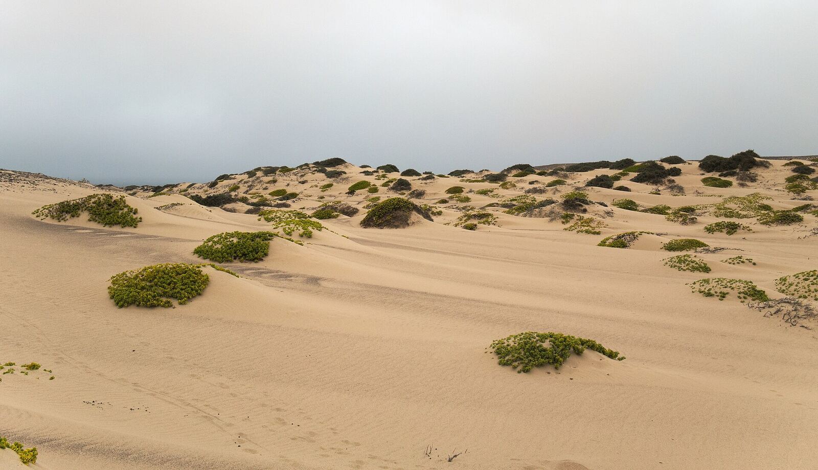 Atlantic coastline along Namibia's Skeleton Coast