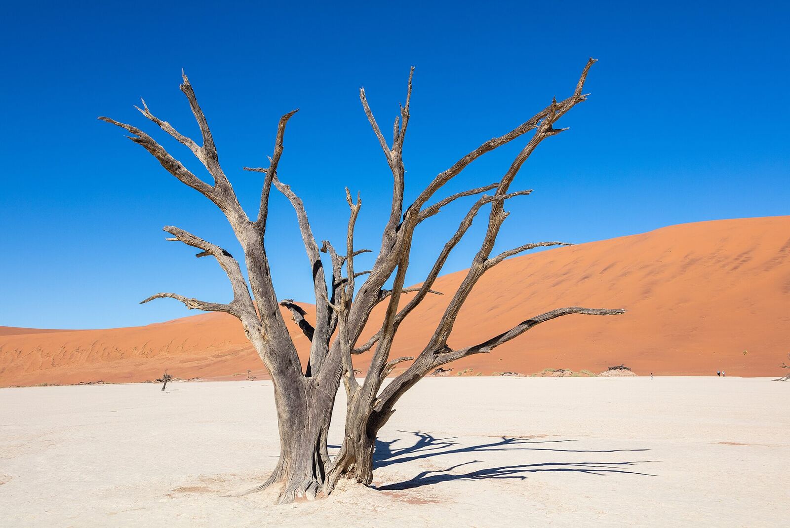 Red dunes and pale clay pan at Sossusvlei, Namibia