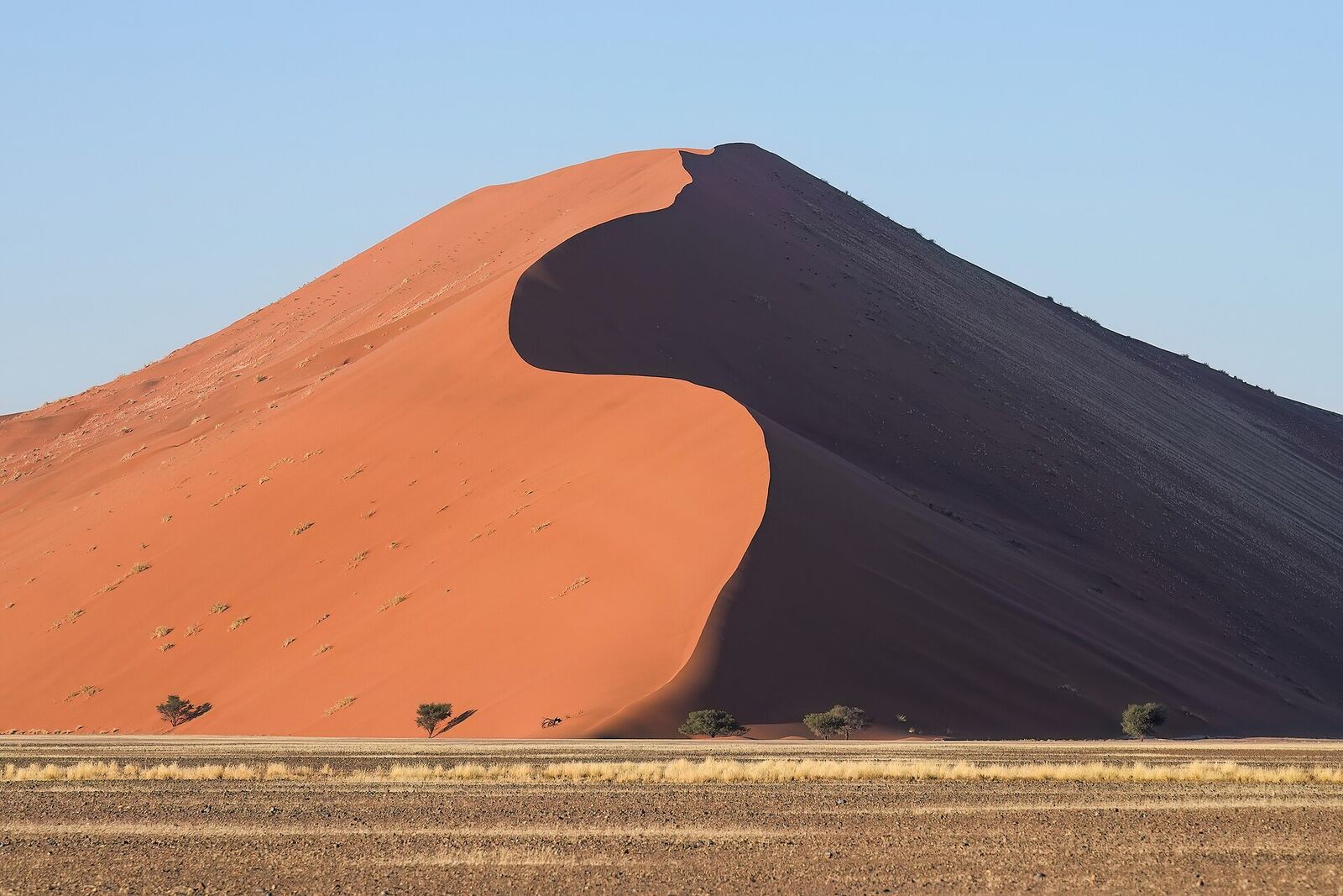 Red dunes and desert landscape in the Sossusvlei area of Namibia