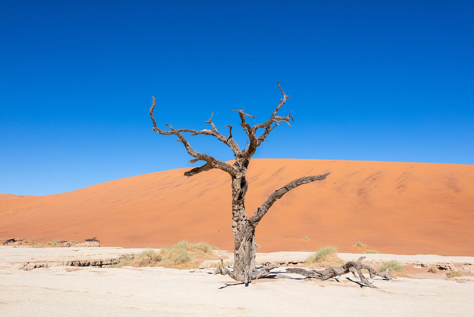 Red dunes and desert landscape in the Sossusvlei area of Namibia