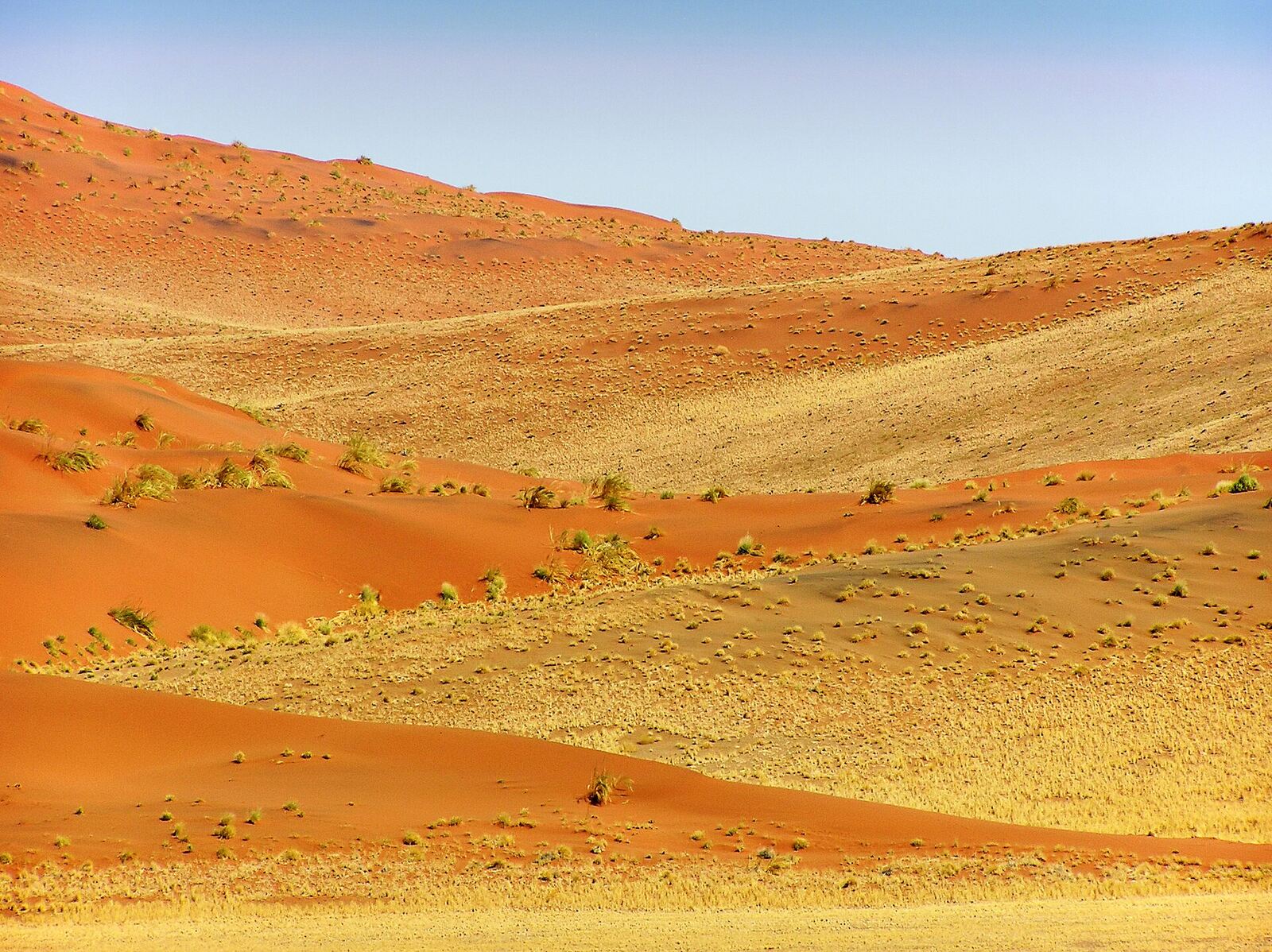 Red dunes and desert landscape in the Sossusvlei area of Namibia