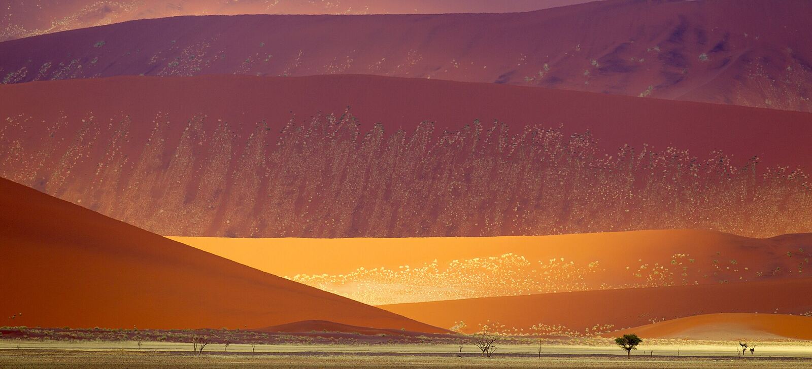 Red dunes and desert landscape in the Sossusvlei area of Namibia