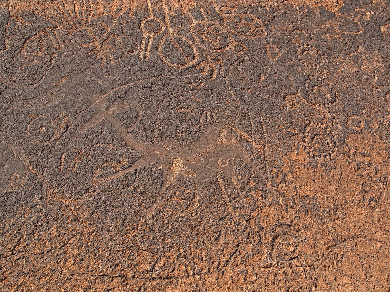 Rock engraving at Twyfelfontein, Namibia